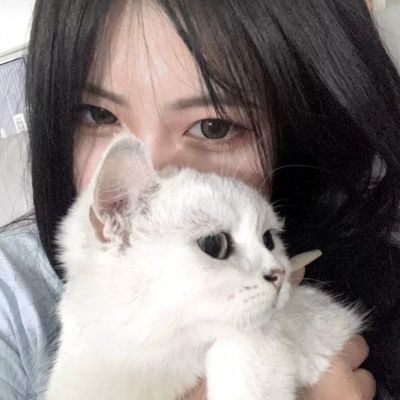 守护宿命星光手游